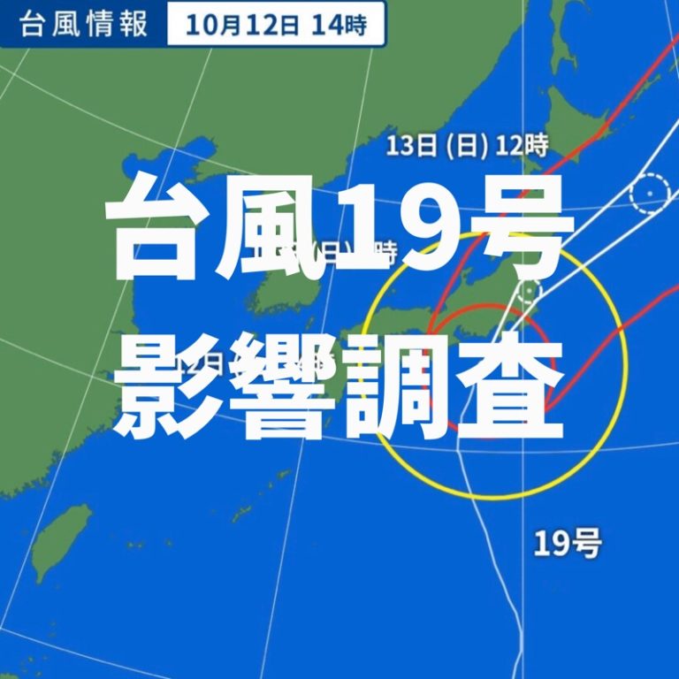 台風19号への影響調査 すぐに使えるテンプレート はじめてのちょうたつ